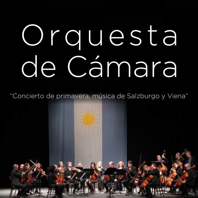 ORQUESTA DE CAMARA ORQUESTA DE CAMARA