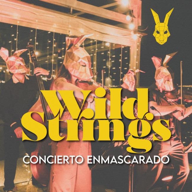 Wild Strings orquesta. Concierto enmascarado