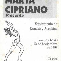 Danzas y Aerobics-Función N° 46