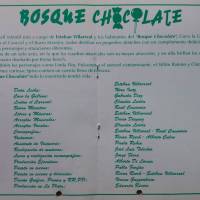 "Bosque Chocolate"