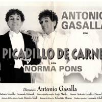 "Picadillo de carne"
