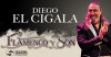DIEGO EL CIGALA, FLAMENCO Y SON